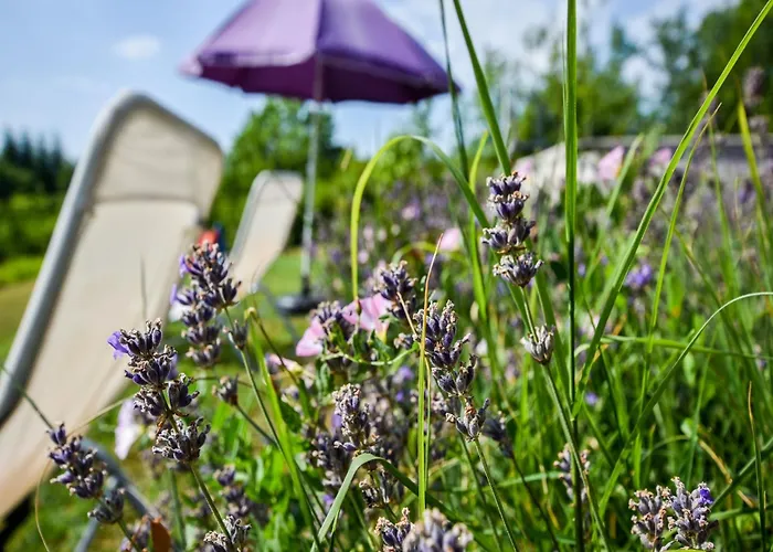 Villa In With Pool & Nearby *