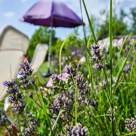 Villa In With Pool & Nearby *