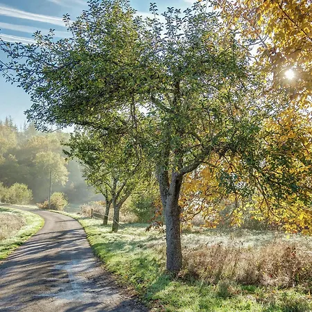 In With Pool & Nearby Cazals (Lot)