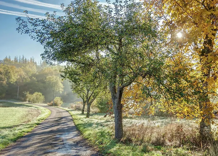 In With Pool & Nearby Cazals (Lot)